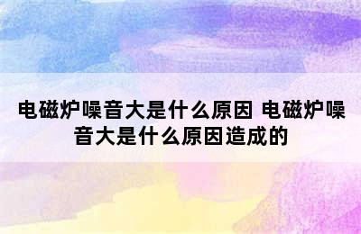 电磁炉噪音大是什么原因 电磁炉噪音大是什么原因造成的